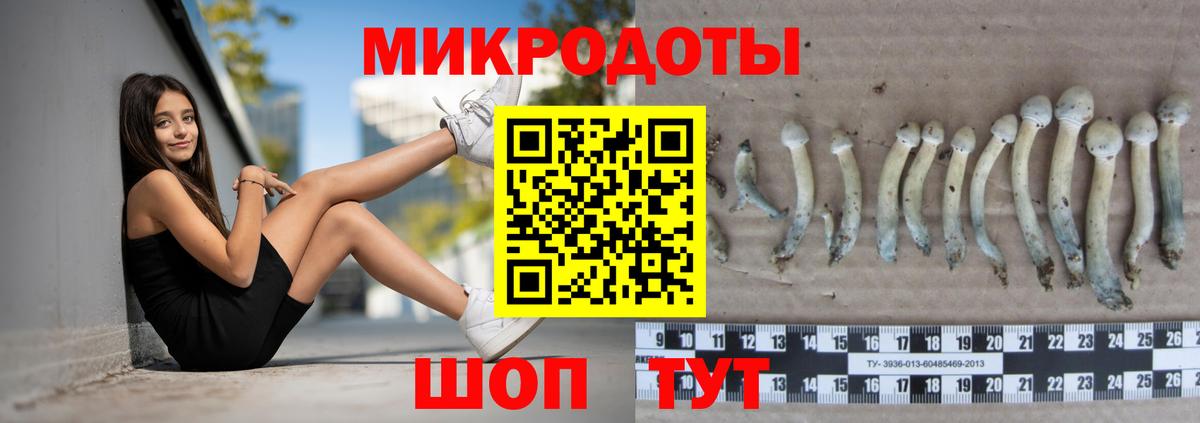 купить закладку  Вход с VPN  Галлюциногенные грибы прущие грибы  Дзержинский  Псилоцибиновые грибы мицелий 